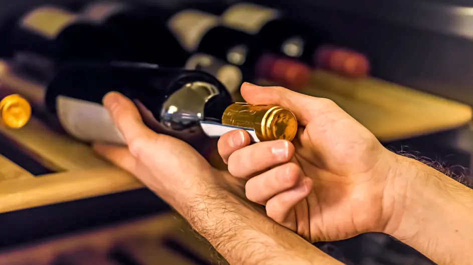 Cave à vin : voici les meilleures caves à vins et nos conseils pour la choisir