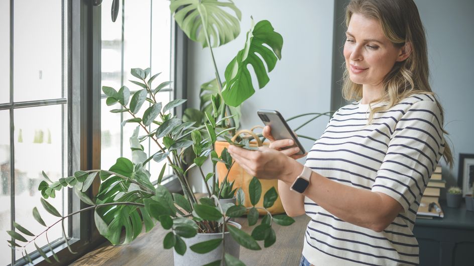 App per riconoscere le piante le 10 da scaricare subito