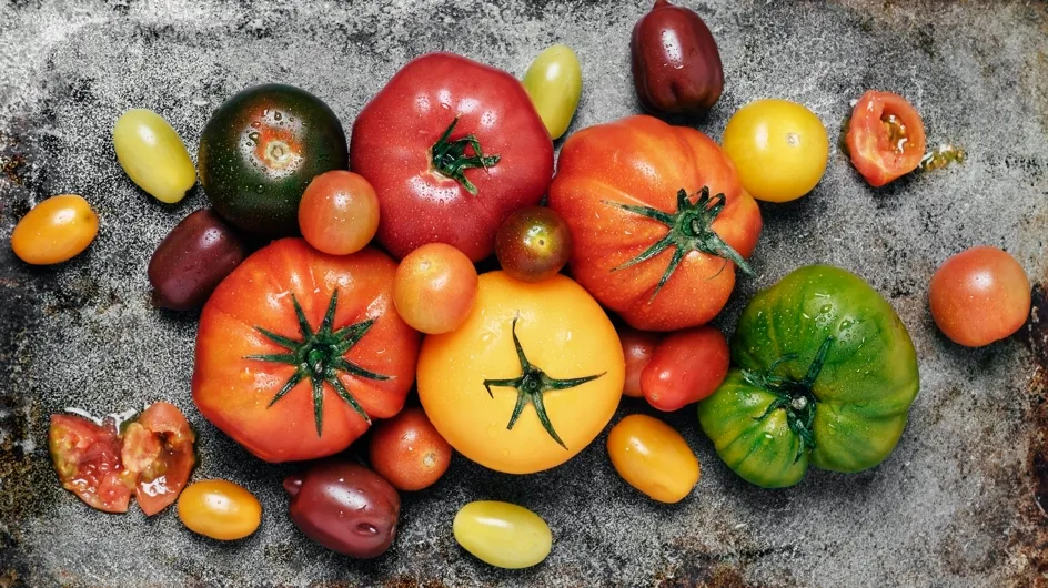 Tomates : quelles variétés pour quelles recettes ?