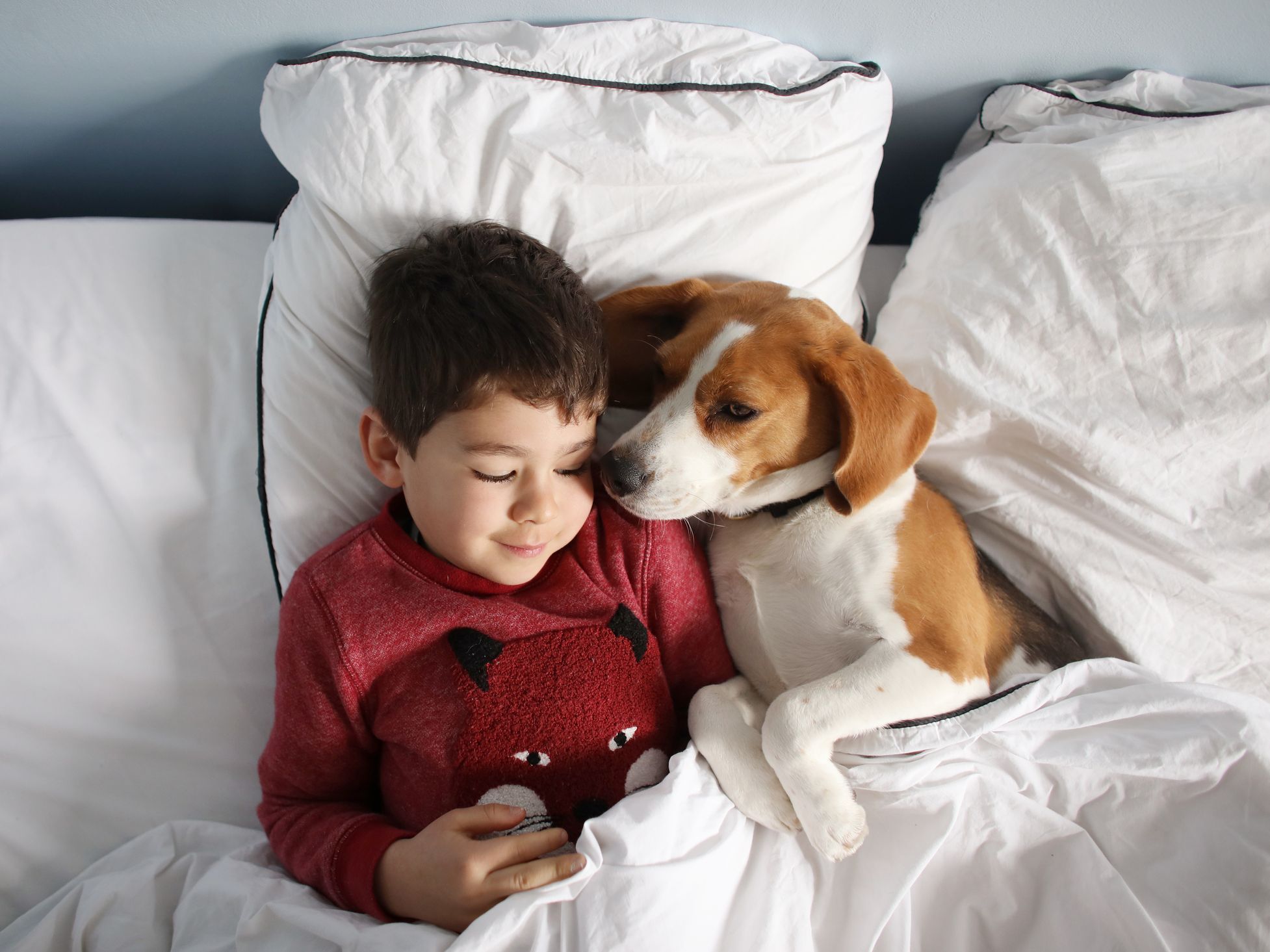 Est-ce dangereux pour un enfant de dormir avec son animal de compagnie ?