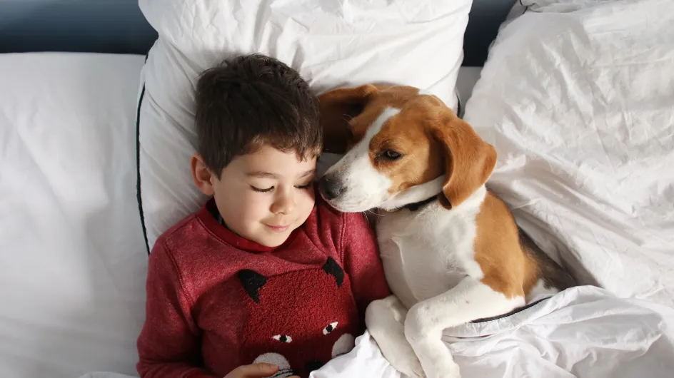 Est-ce dangereux pour un enfant de dormir avec son animal de compagnie ?