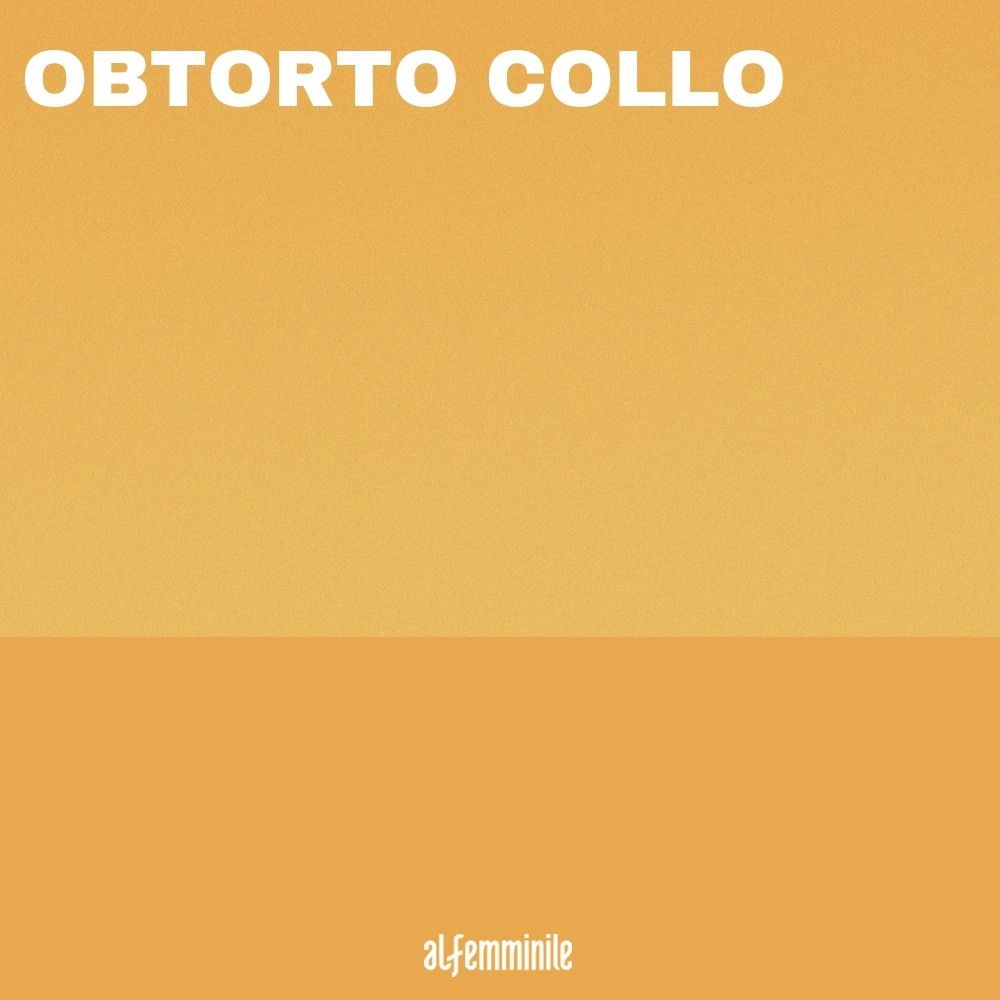 Le Frasi Latine Piu Famose E Piu Significative Da Dedicare