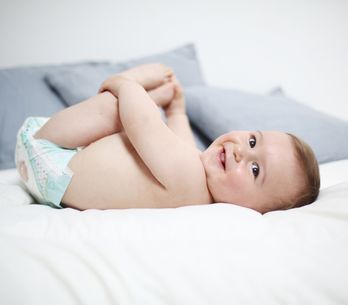 Top 6 Des Meilleurs Mouche Bebes Et Nos Conseils