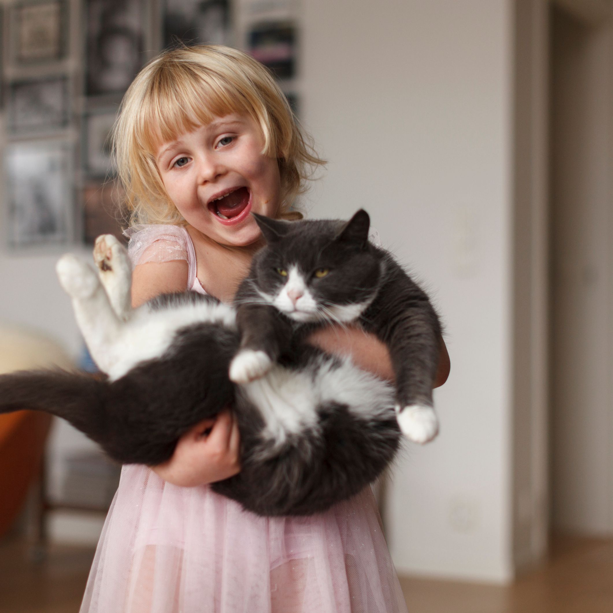 Votre Chat Pense Que Vous Etes Vous Meme Un Chat Un Poil Bizarre