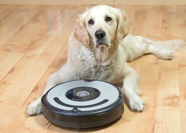 Aspirateur spécial poils du0027animaux : les meilleurs modèles