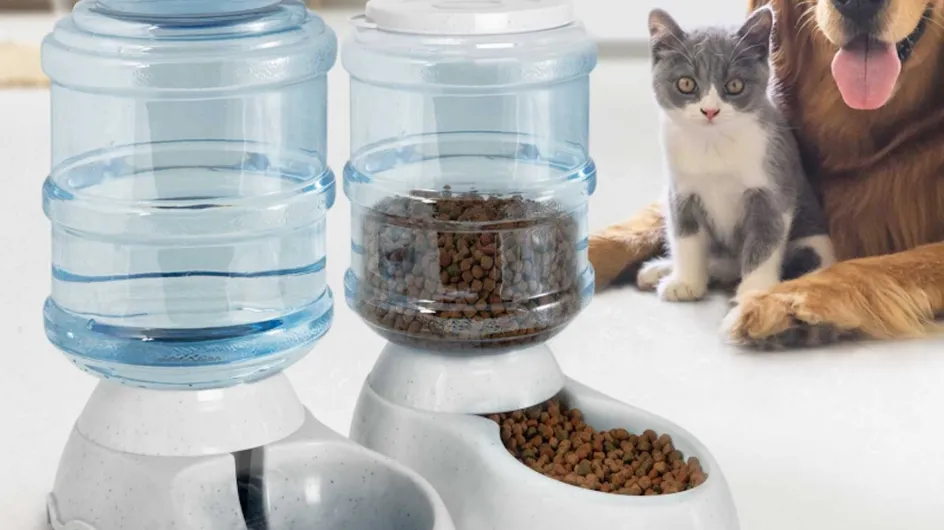 Bon plan - Un distributeur automatique croquettes et eau pour chat ou chien