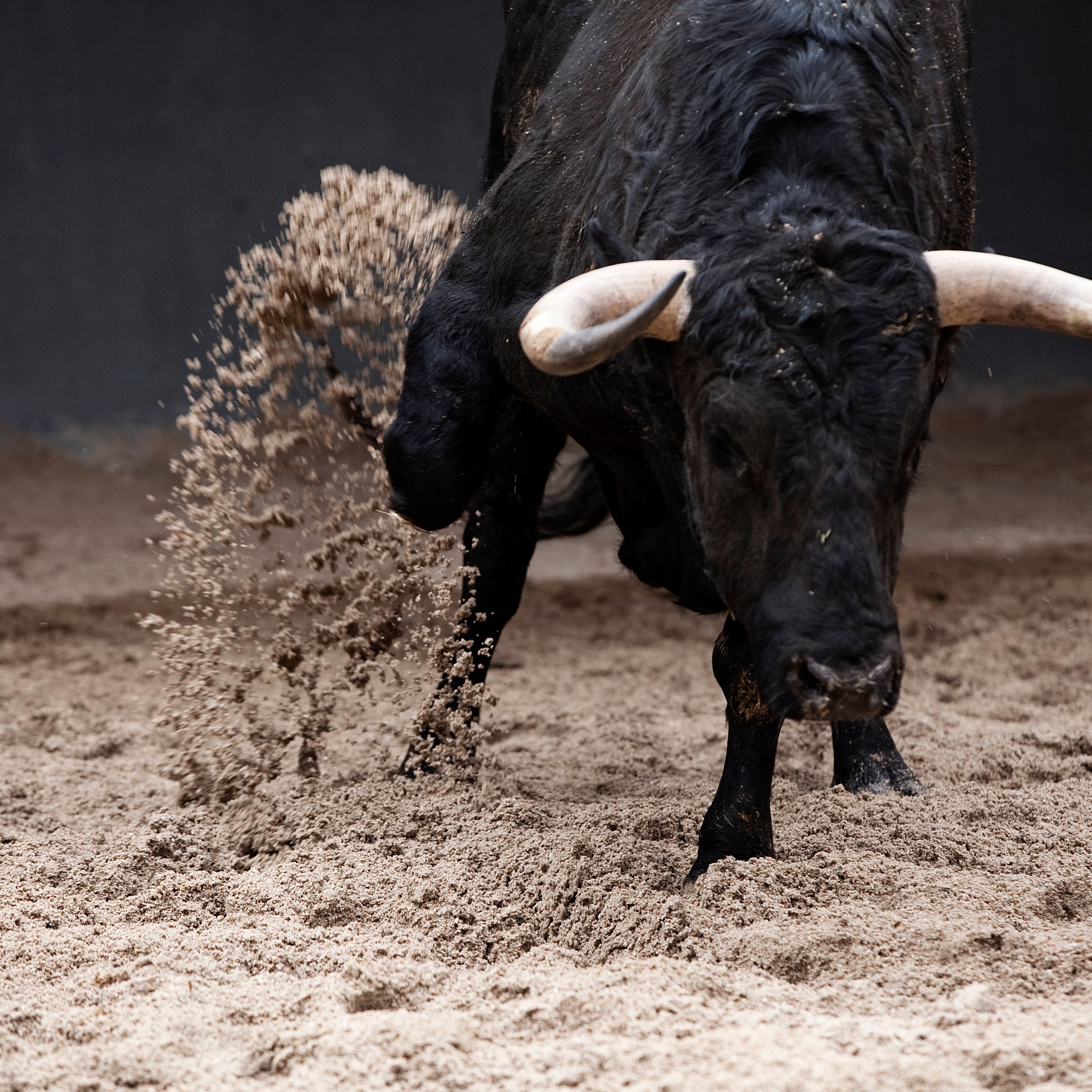 Un Adolescent Gravement Blesse Par Un Taureau Lors D Une Fete