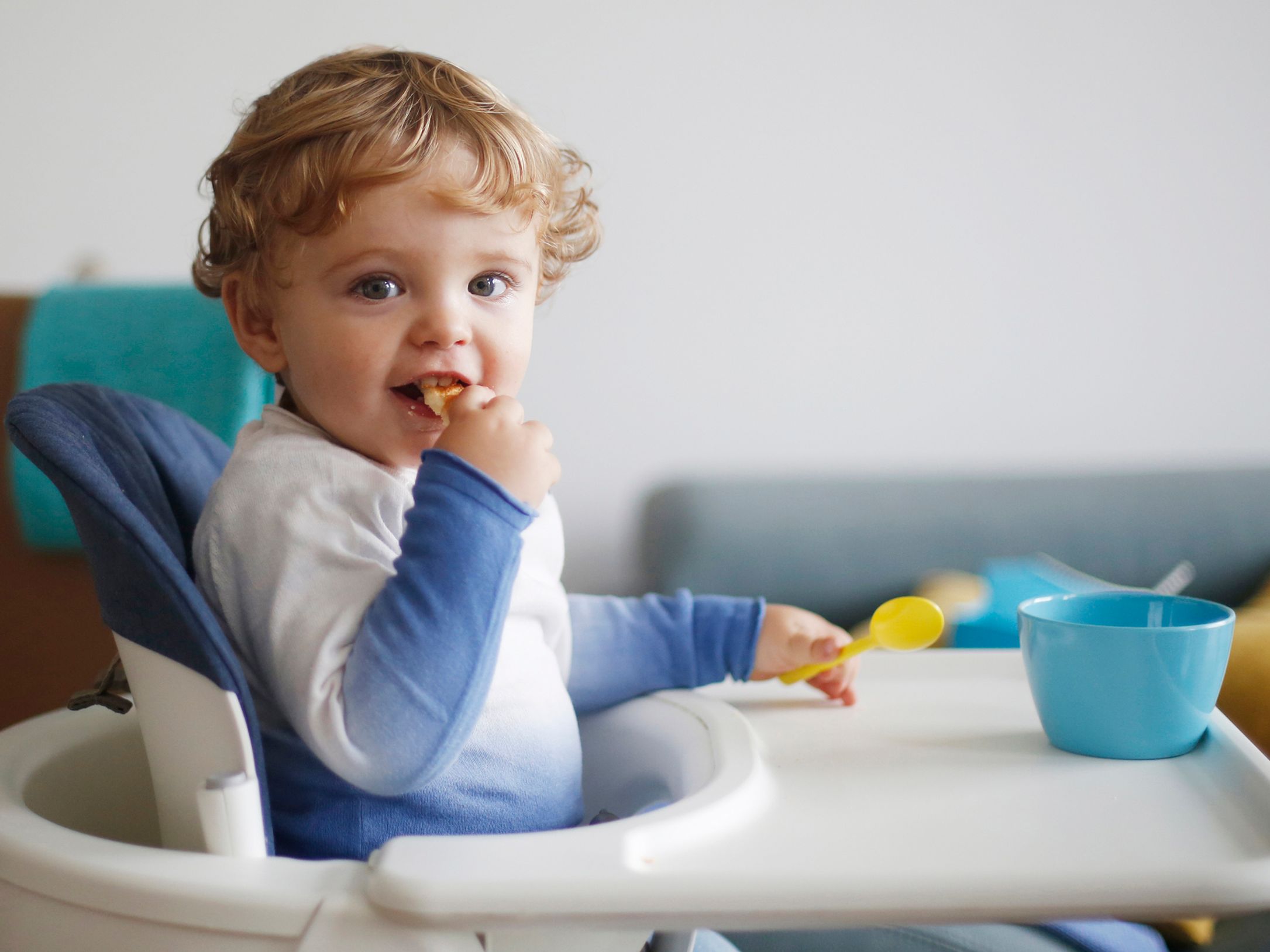 Table et Chaise Haute à manger pour bébé, bonne qualité, prix