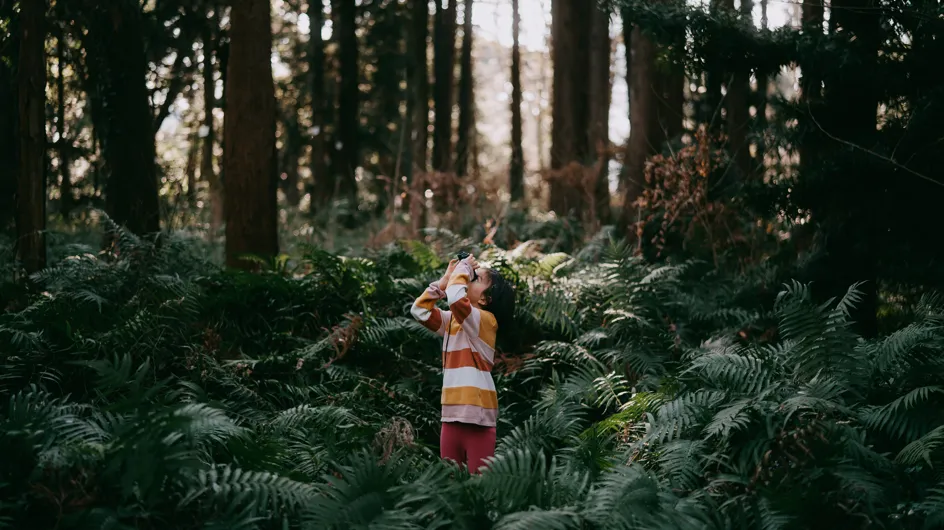 À 3 ans et atteint d'autisme un petit garçon disparaît dans la forêt