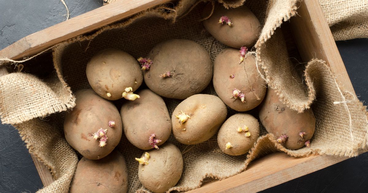 Comment empêcher les pommes de terre de germer