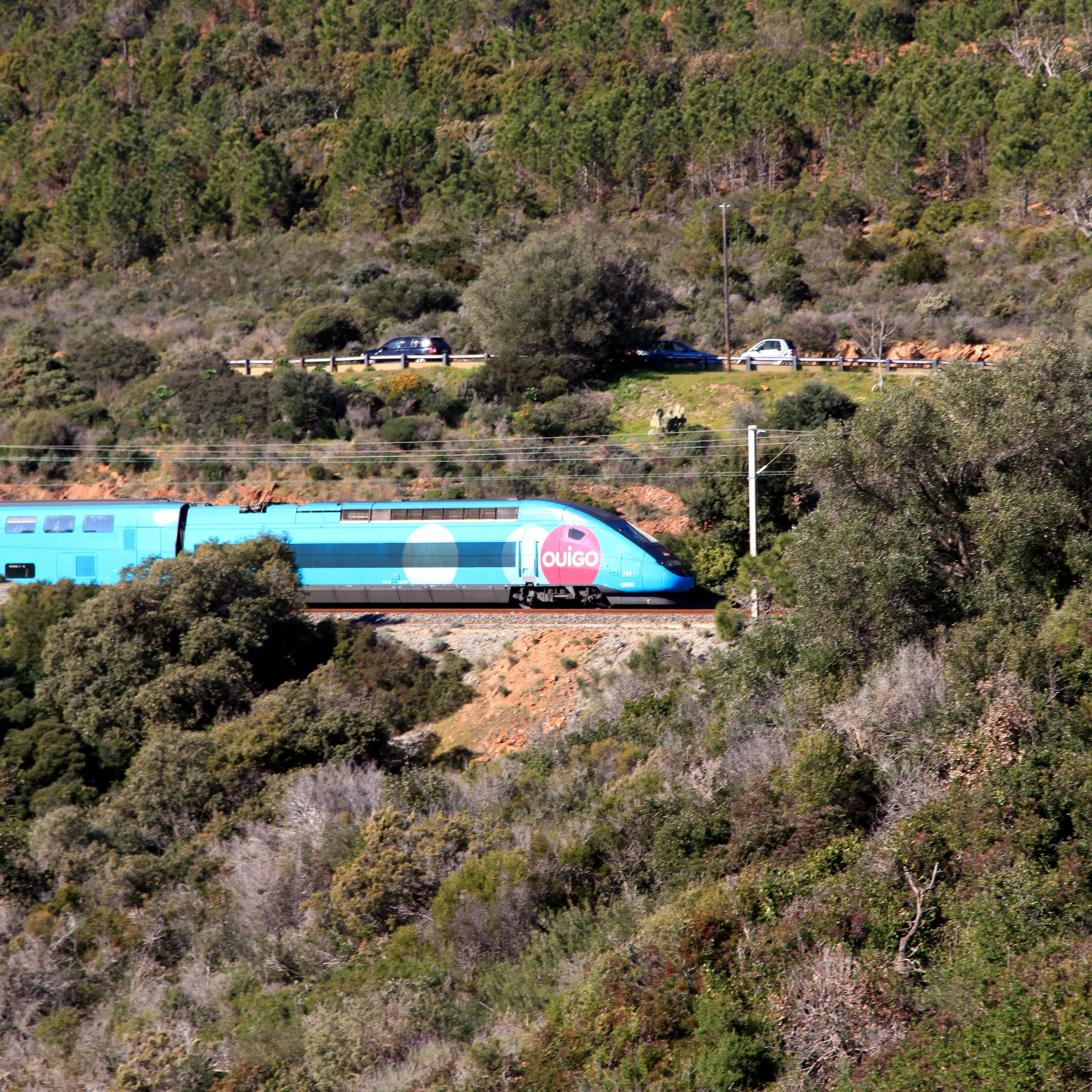 Le Corps D Un Bebe Retrouve Dans Un Ouigo Il Etait Vivant Et Viable Selon L Autopsie