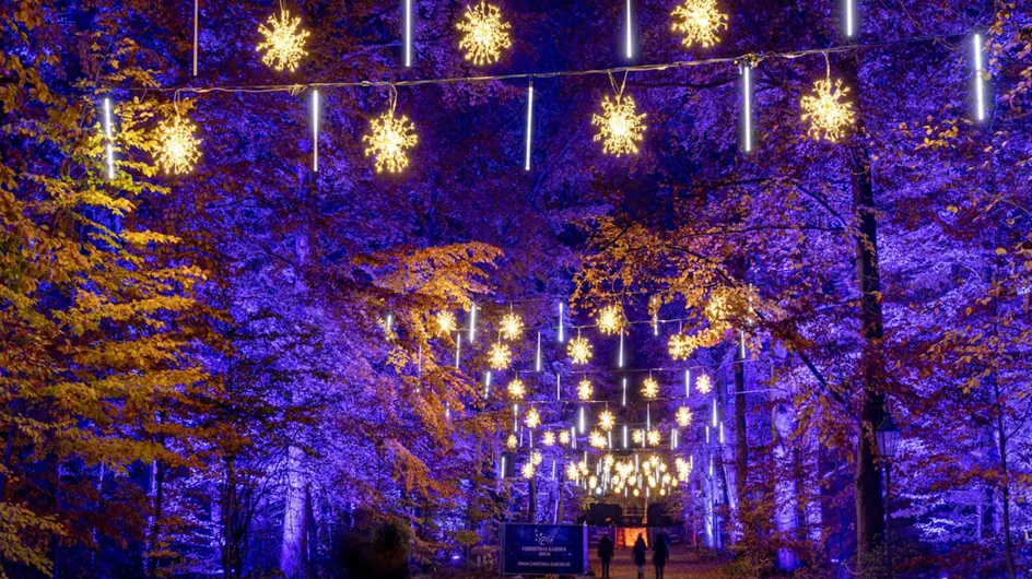 Féerique ! Les plus belles illuminations de fin d'année sont à Lumières en Seine