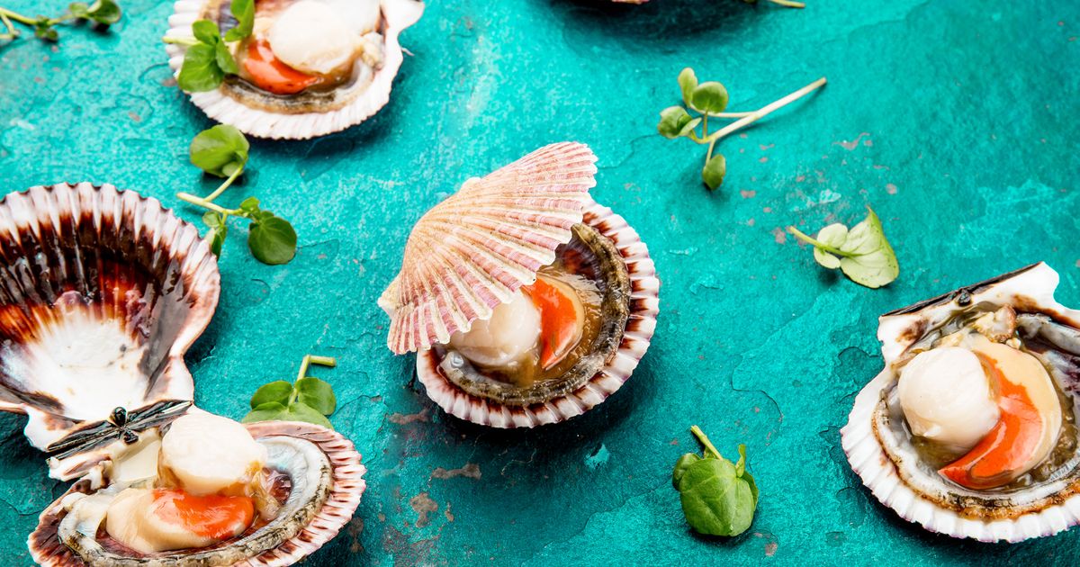 Nos astuces infaillibles pour ouvrir vos coquilles SaintJacques