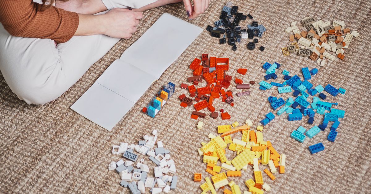 LEGO pour adultes - Jeux de construction