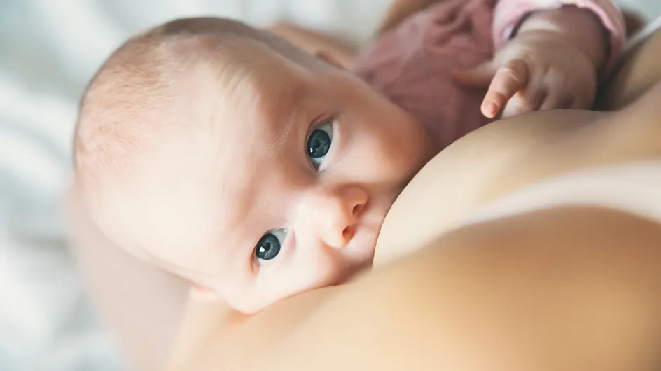 Coquillages d’allaitement : à quoi servent-ils vraiment ? Une sage-femme nous éclaire