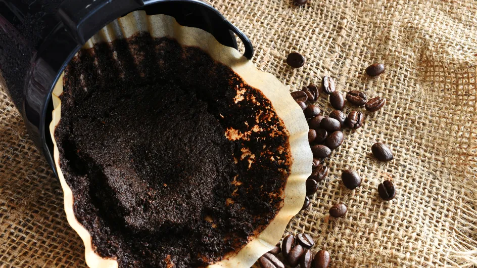 10 astuces pour réutiliser son marc de café au lieu de le jeter