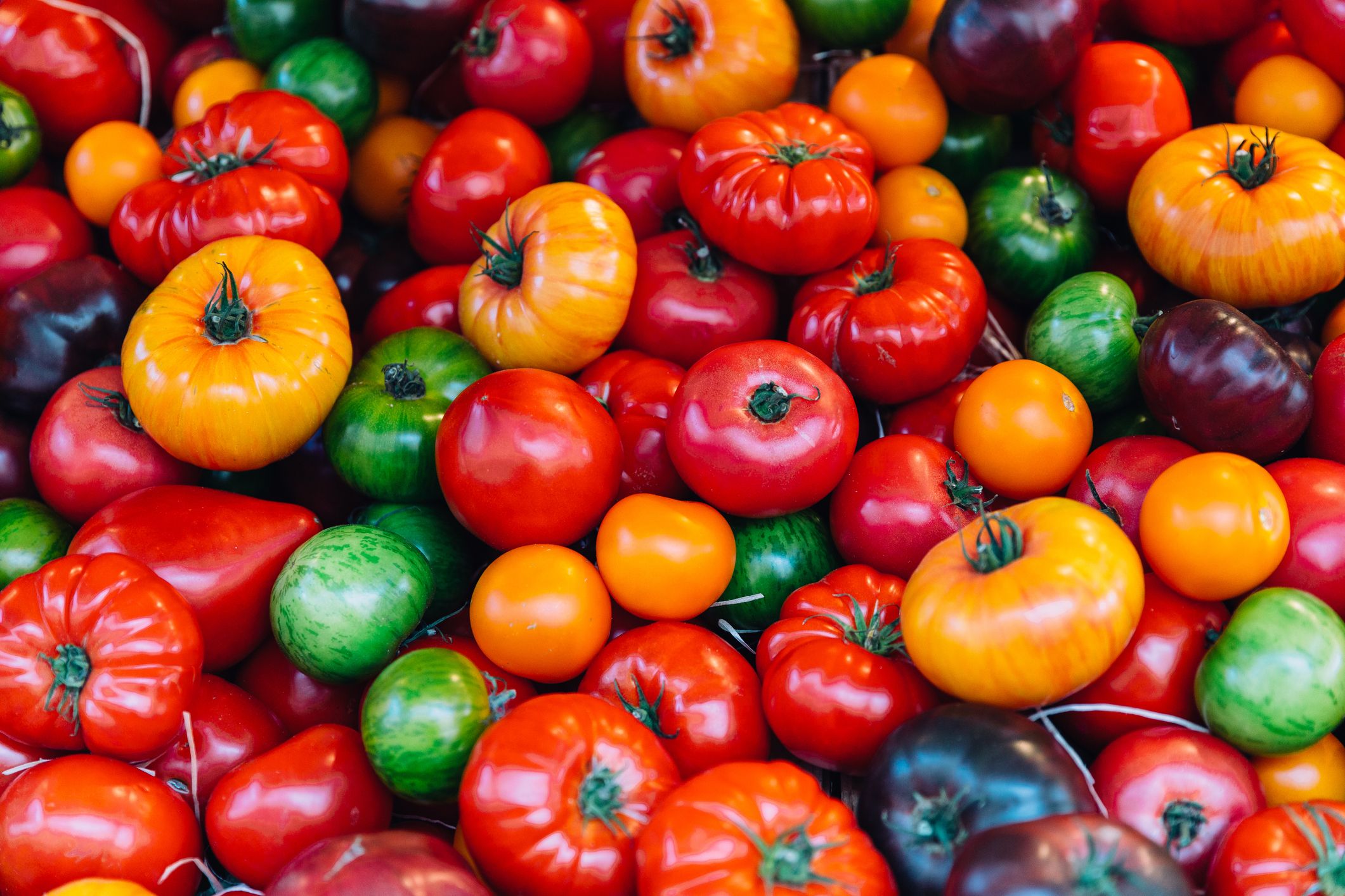 La tomate - Histoire de la tomate et ses nombreuses variétés