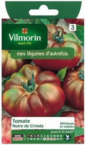 Tomate : bien choisir et consommer ce fruit d'été