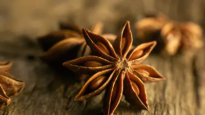 Anis : comment le choisir et l'utiliser en cuisine