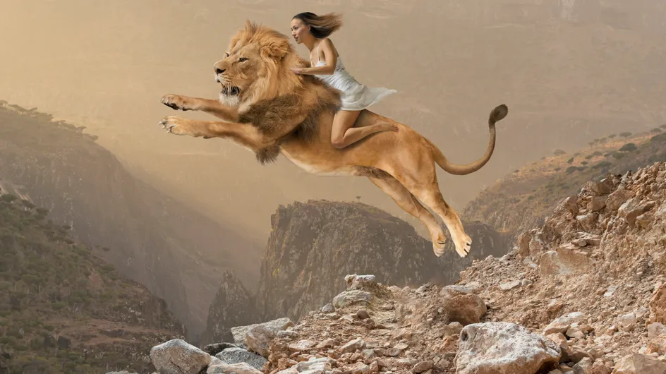 Sognare un leone: ecco come possiamo interpretare questo sogno