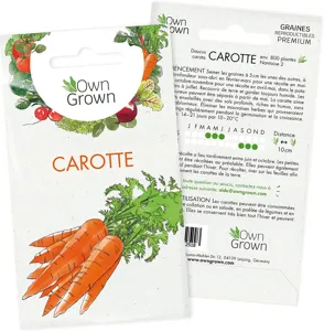 Choisir et cuisiner les carottes pour leurs nombreuses qualités