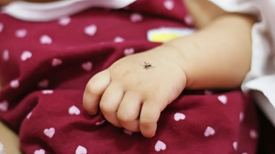 Cet anti-moustique est le meilleur pour les enfants selon 60 millions de consommateurs