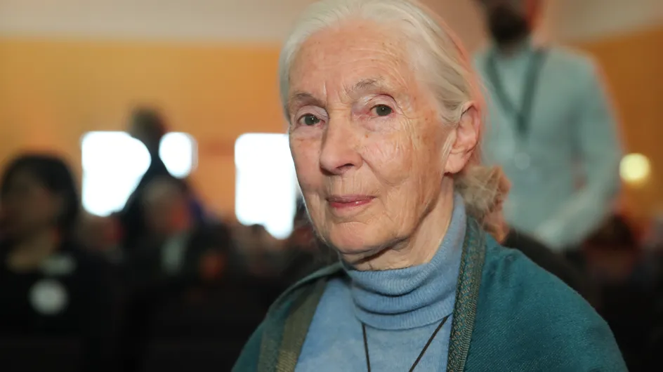 Jane Goodall diventa una Barbie green per ispirare le bambine e salvare gli oceani