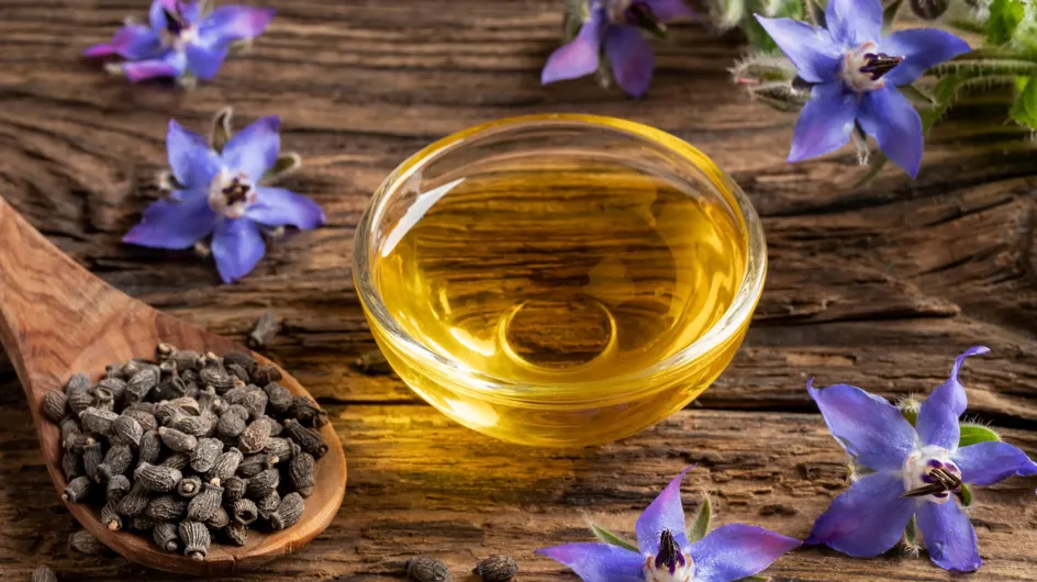 Olio di borragine: scopri le proprietà, gli usi e le controindicazioni di questo rimedio naturale