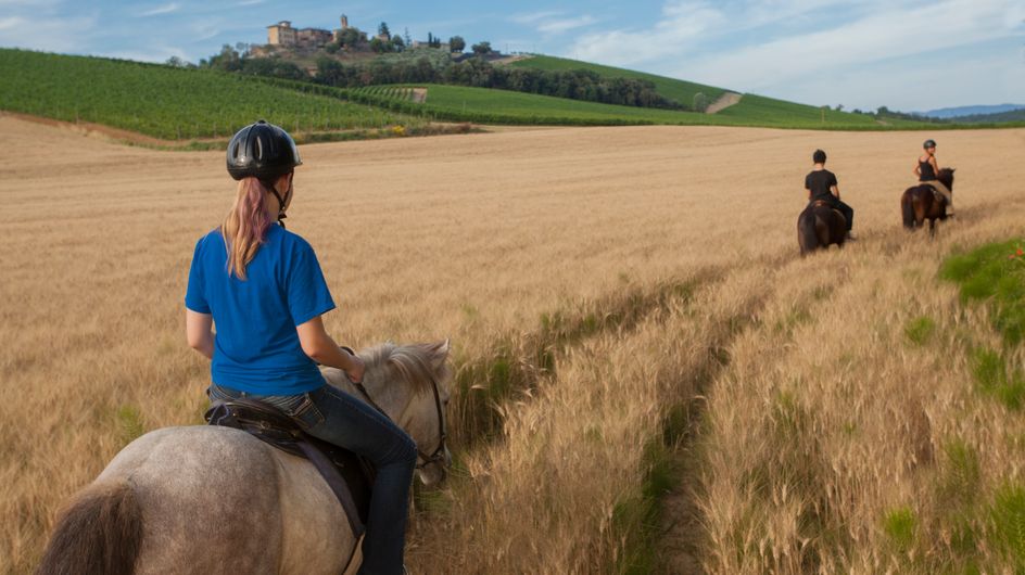 En vacances au Pays basque, une fillette de 8 ans meurt après avoir chuté d'un poney