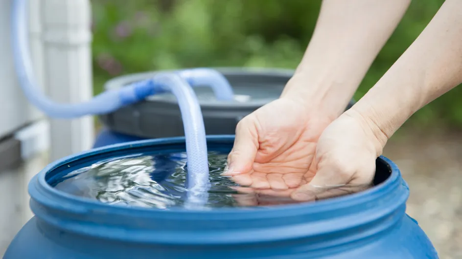 Sécheresse : comment utiliser un récupérateur d’eau pour économiser ?