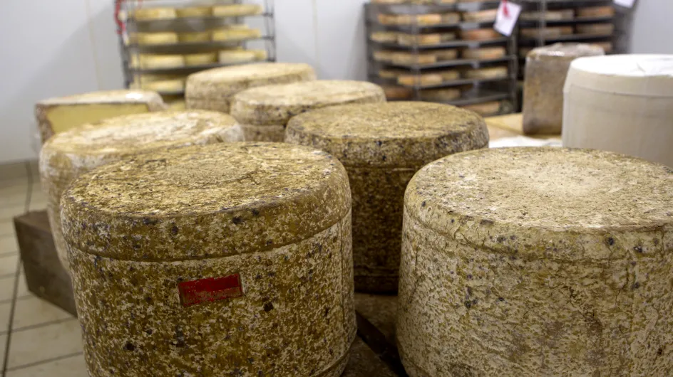 Alerte fromage AOP en danger : pas de production pour ce fromage auvergnat cette année