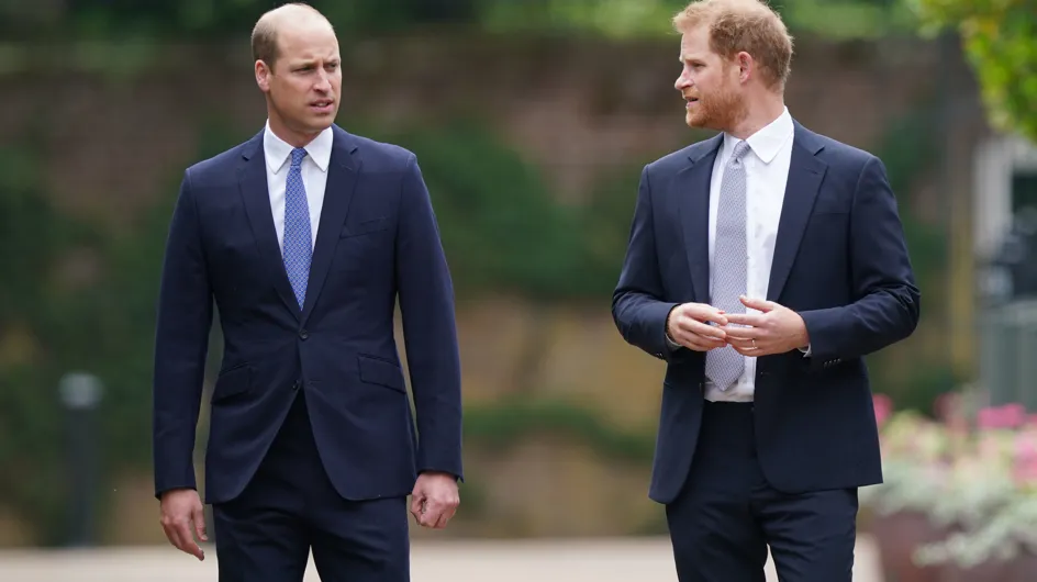 "William plus intelligent qu'Harry" : le traumatisme originel de la rivalité entre les princes révélé