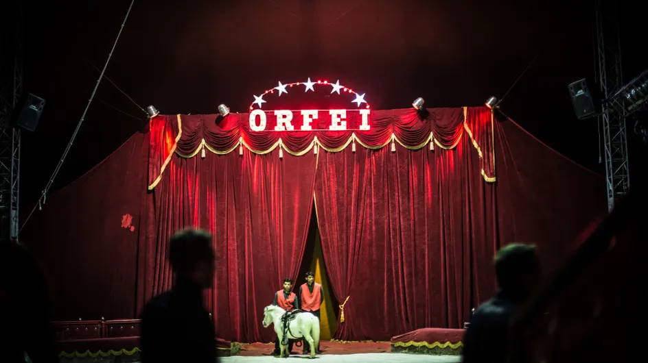 Il domatore Ivan Orfei attaccato da una tigre durante uno spettacolo al circo