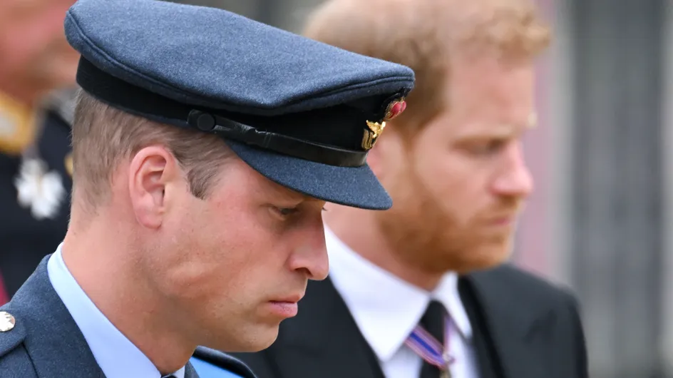Prince Harry : ses mémoires retraceront pas à pas la dispute avec William