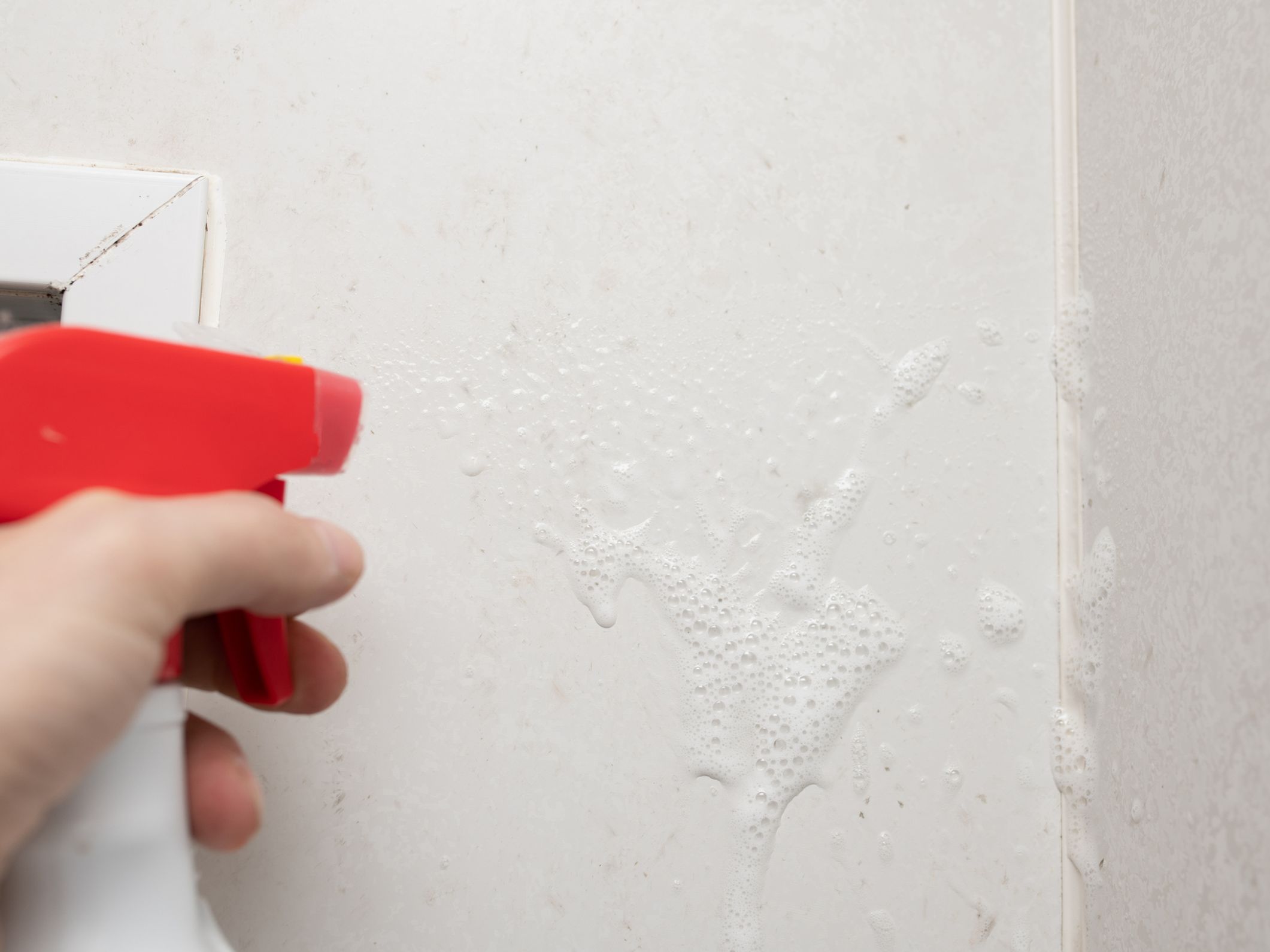 Moisissure Mur Platre Vinaigre Blanc Moisissure : 5 astuces naturelles faciles pour l'éliminer de votre salle de  bains