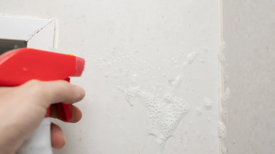 Moisissure : 5 astuces naturelles faciles pour l'éliminer de votre salle de bains