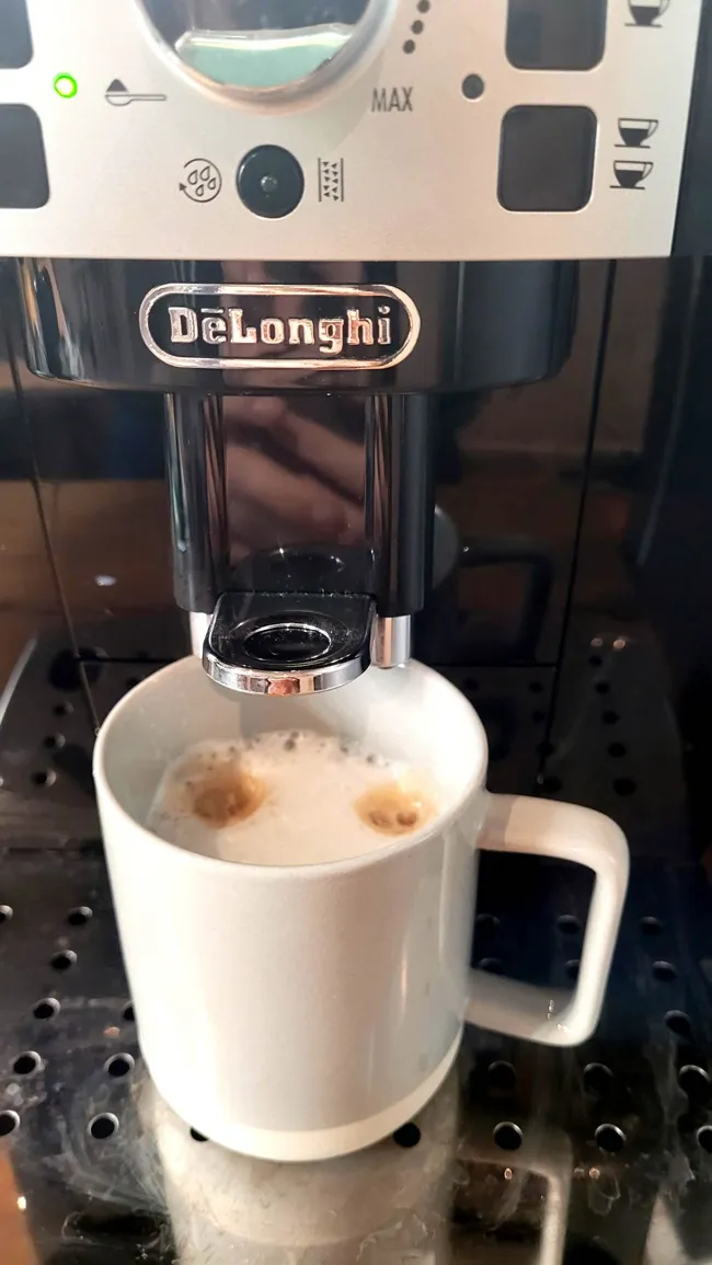 Machine à cappuccino Magnifica S