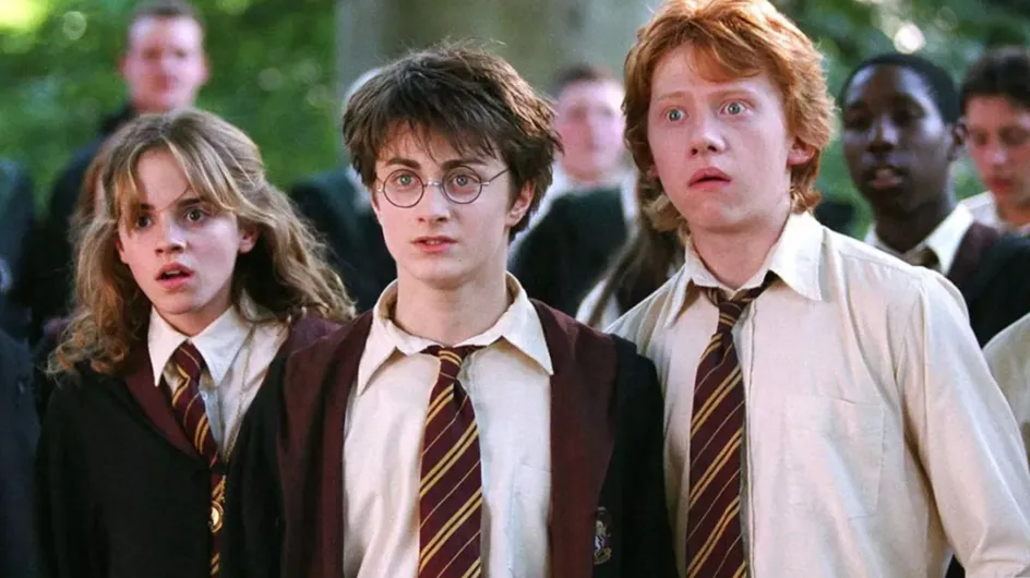 Harry Potter : une série en 7 saisons serait réellement en développement