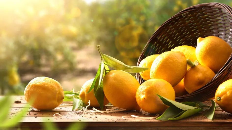 Nos astuces pour ramollir un citron trop dur afin d&#039;obtenir plus de jus !