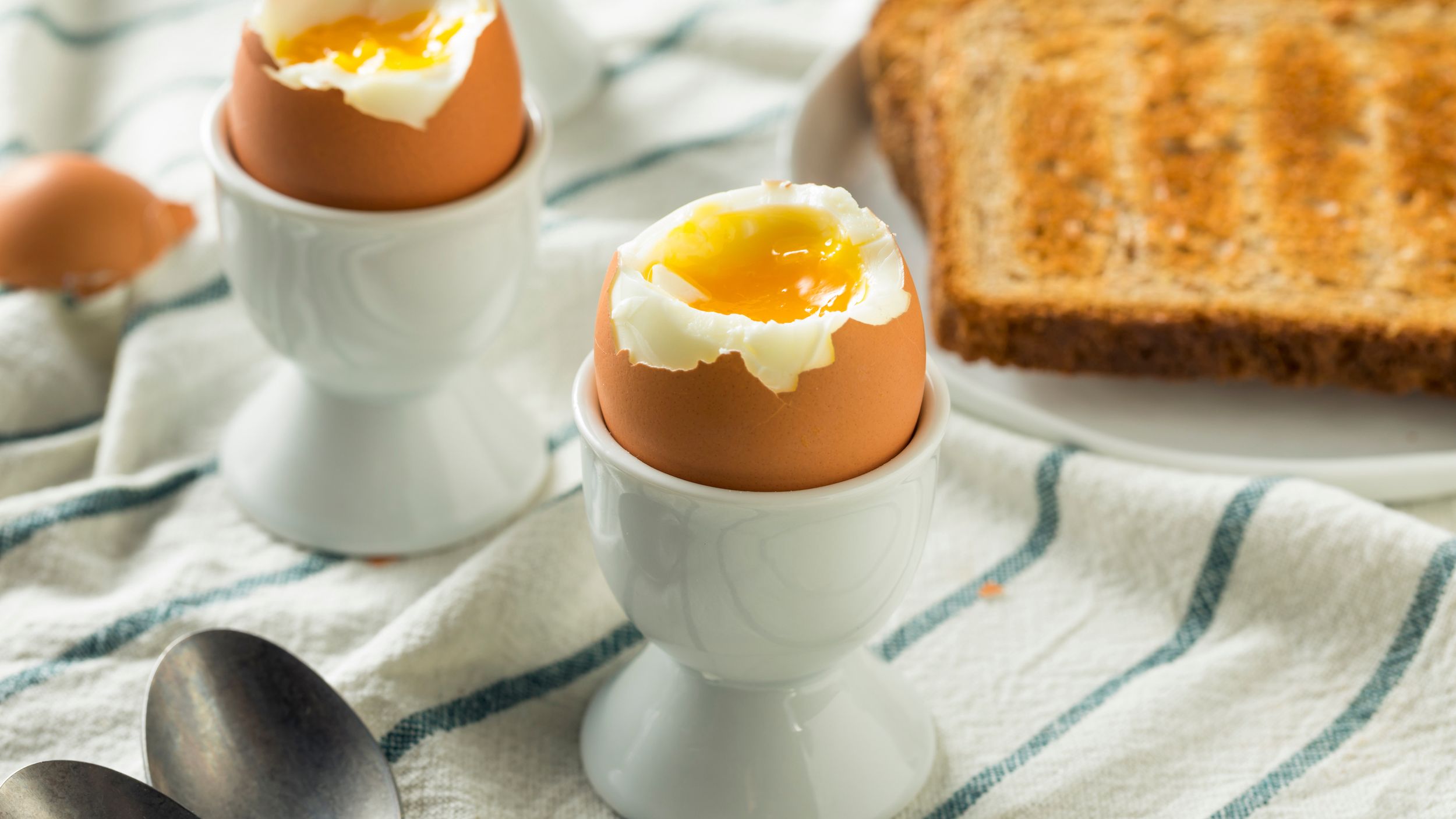 Seau En Plastique Avec Poignée Et Bec Ecoplast 12 Litri