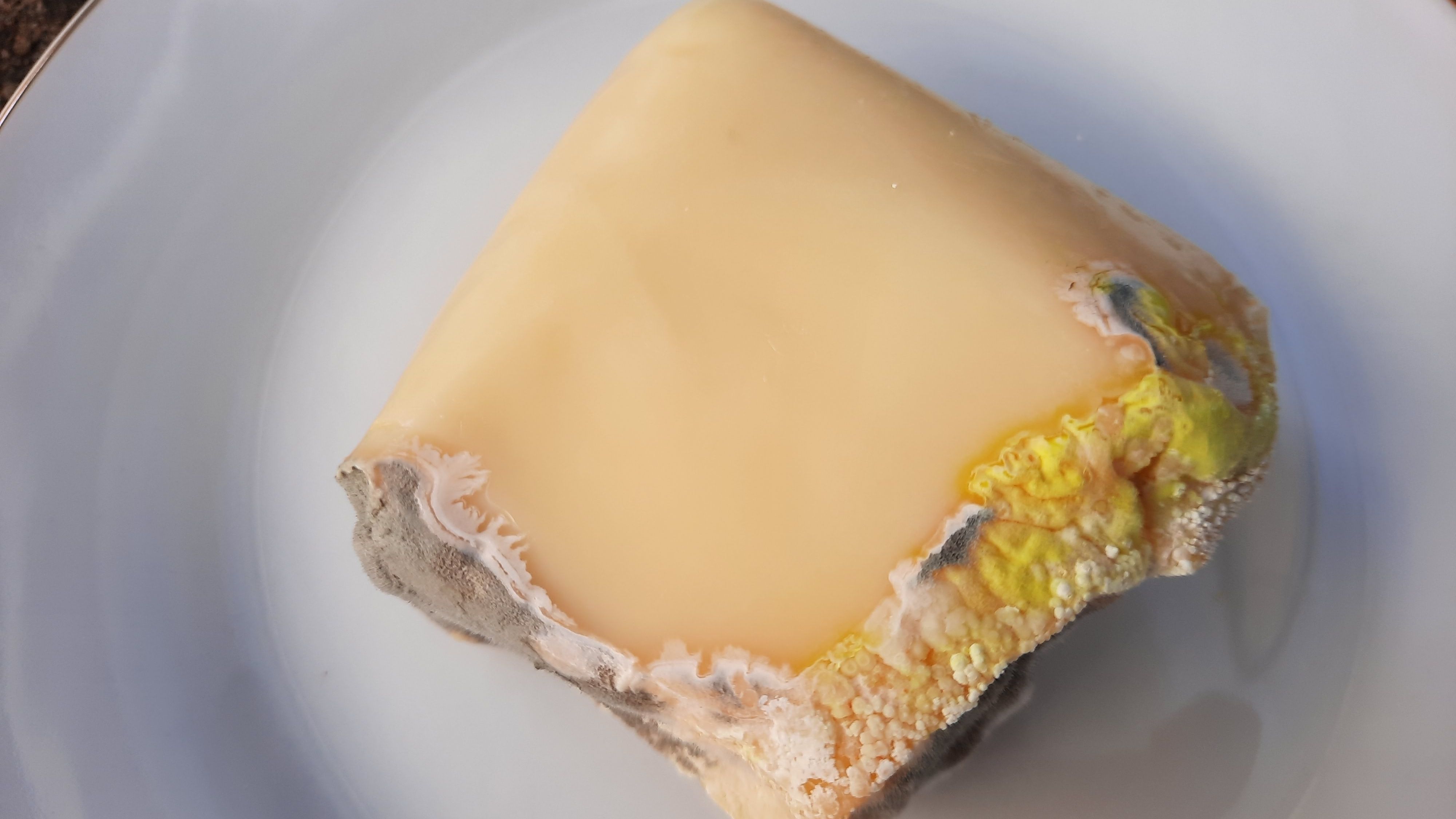 Peut-on consommer du fromage périmé ?