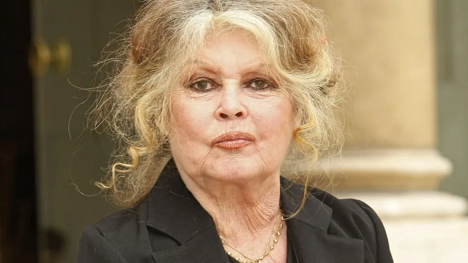 Brigitte Bardot en deuil et "anéantie par le chagrin" : l'actrice annonce le décès de Fripouille
