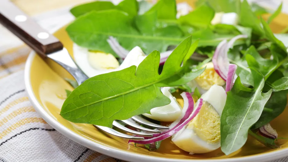 Salade : une recette délicieuse à tester de ce pas avec ces fleurs que l&#039;on trouve partout autour de nous !