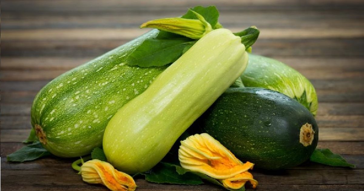 La courgette : bienfaits santé, apports nutritionnels, idées recettes : que  cuisiner avec des courgettes ? - Doctissimo