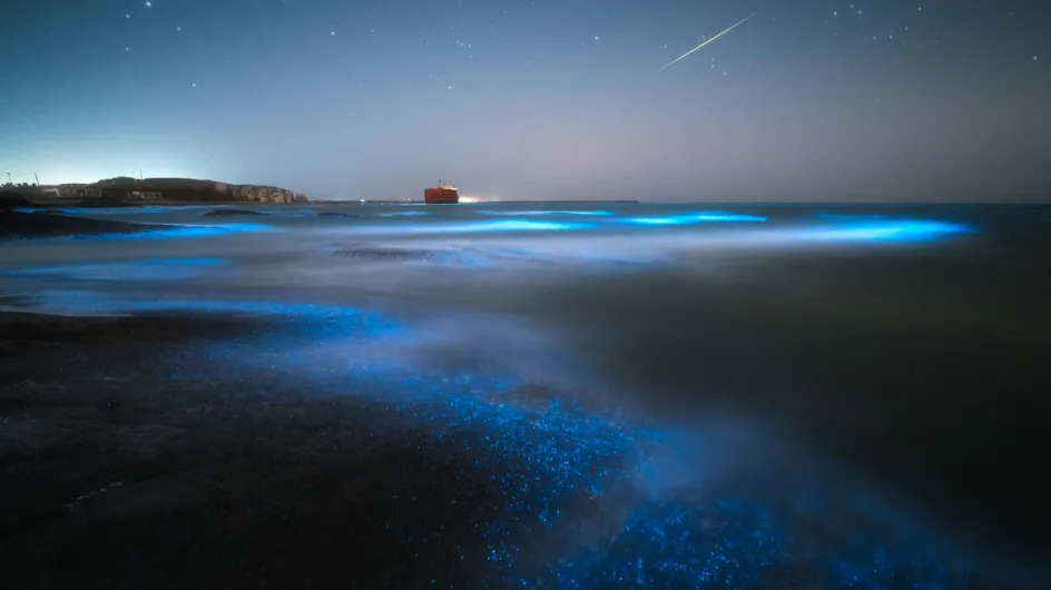 Descubre la magia de estas playas bioluminiscentes que puedes ver en España