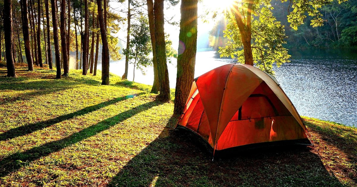 Camping sauvage en France : voici l'amende que vous risquez si vous ne  respectez pas les règles