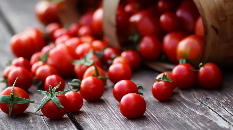 Voici pourquoi vous devriez plutôt manger des tomates cerise à la place des tomates classiques !
