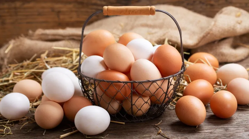 La coquille blanche d’un œuf est-elle vraiment signe d’une meilleure qualité ?