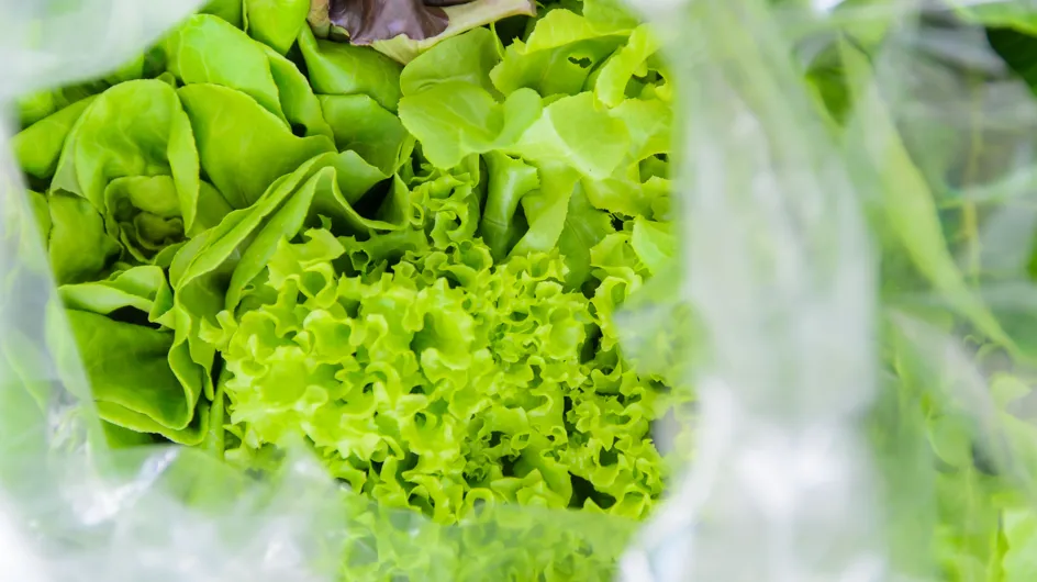 Les salades en sachet ont plus de risque de contenir certaines bactéries, selon une étude