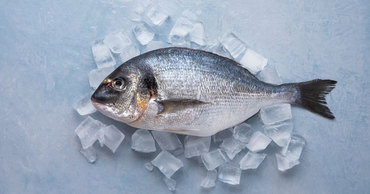Peuton cuire directement du poisson congelé